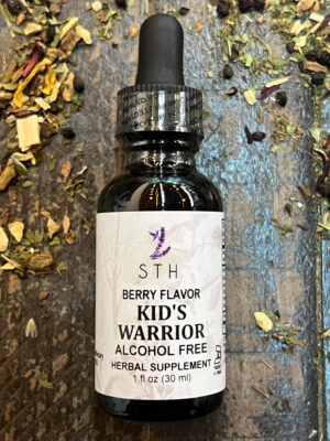 Kid's Warrior 1