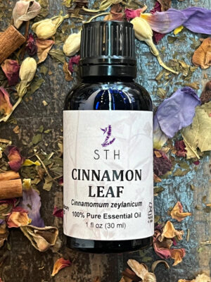 Cinnamon Leaf 1