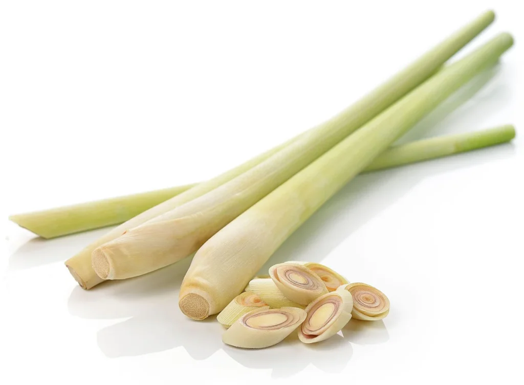 lemongrass